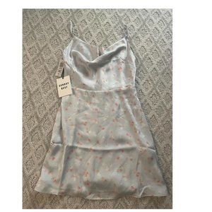 Aritzia Blue Spencer Dress Colour